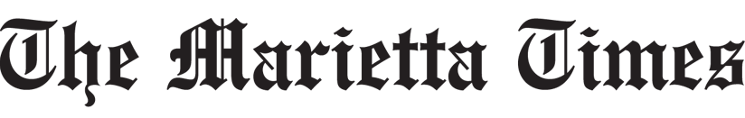 website logo